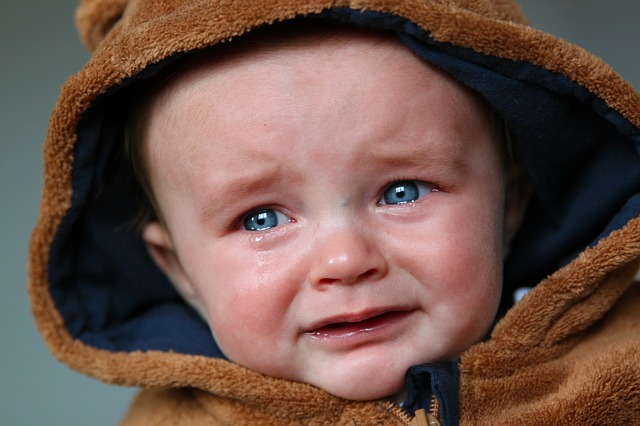 ベイビーハラスメント 赤ちゃんの泣き声がうるさい問題と公共の乗り物 すみれもん